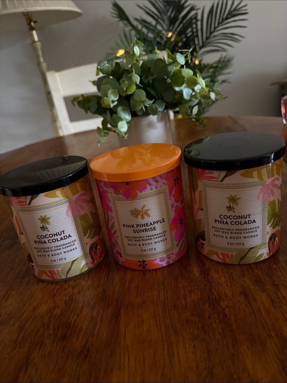 Bundle of (3) Tropical Scented Single Wick Candles from B&B